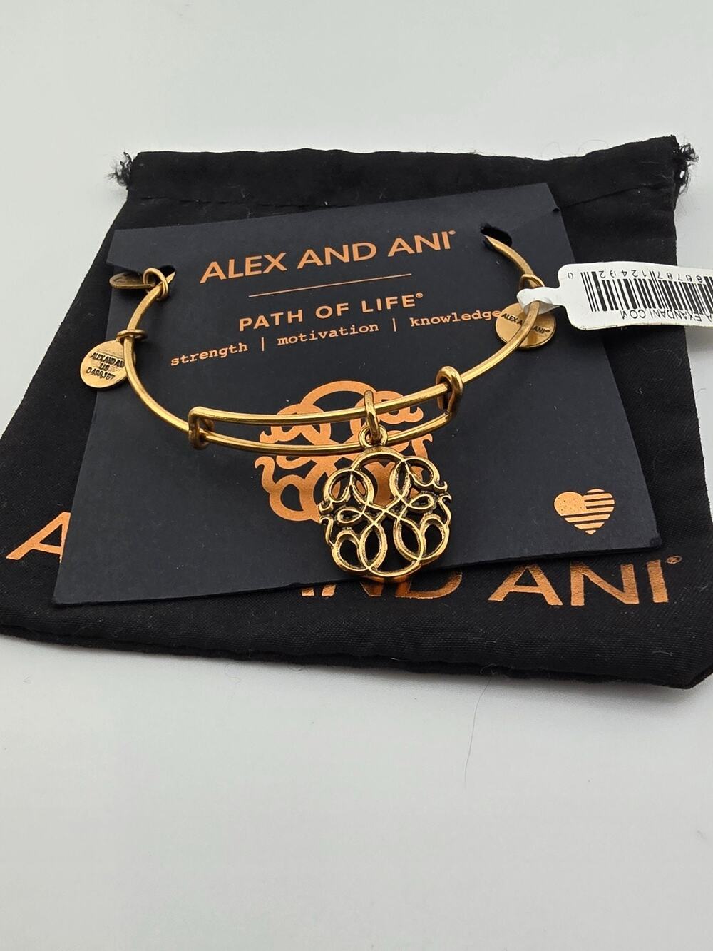 Alex and Ani PATH OF LIFE IV Expandable Wire Bracelet Rafaelian Gold NWT